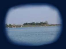 Island for sale!